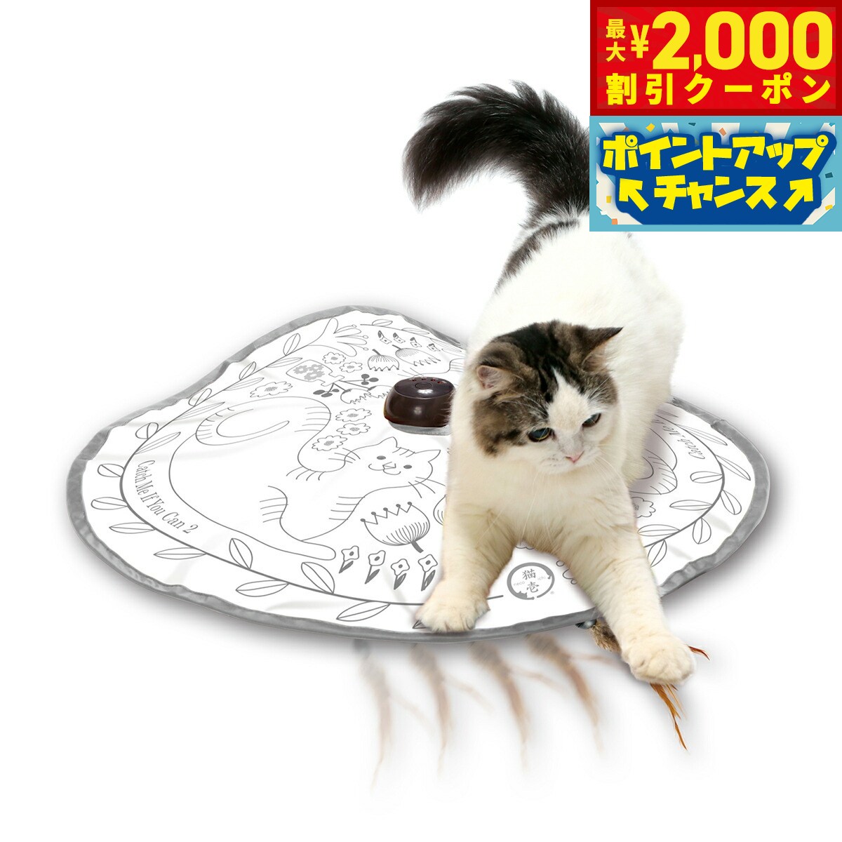 乐天商城 - 【最大2000円OFFクーポン！＆店内ポイント最大52倍！本日限定！】猫壱 キャッチ ミー イフ ユー キャン2 猫のお庭