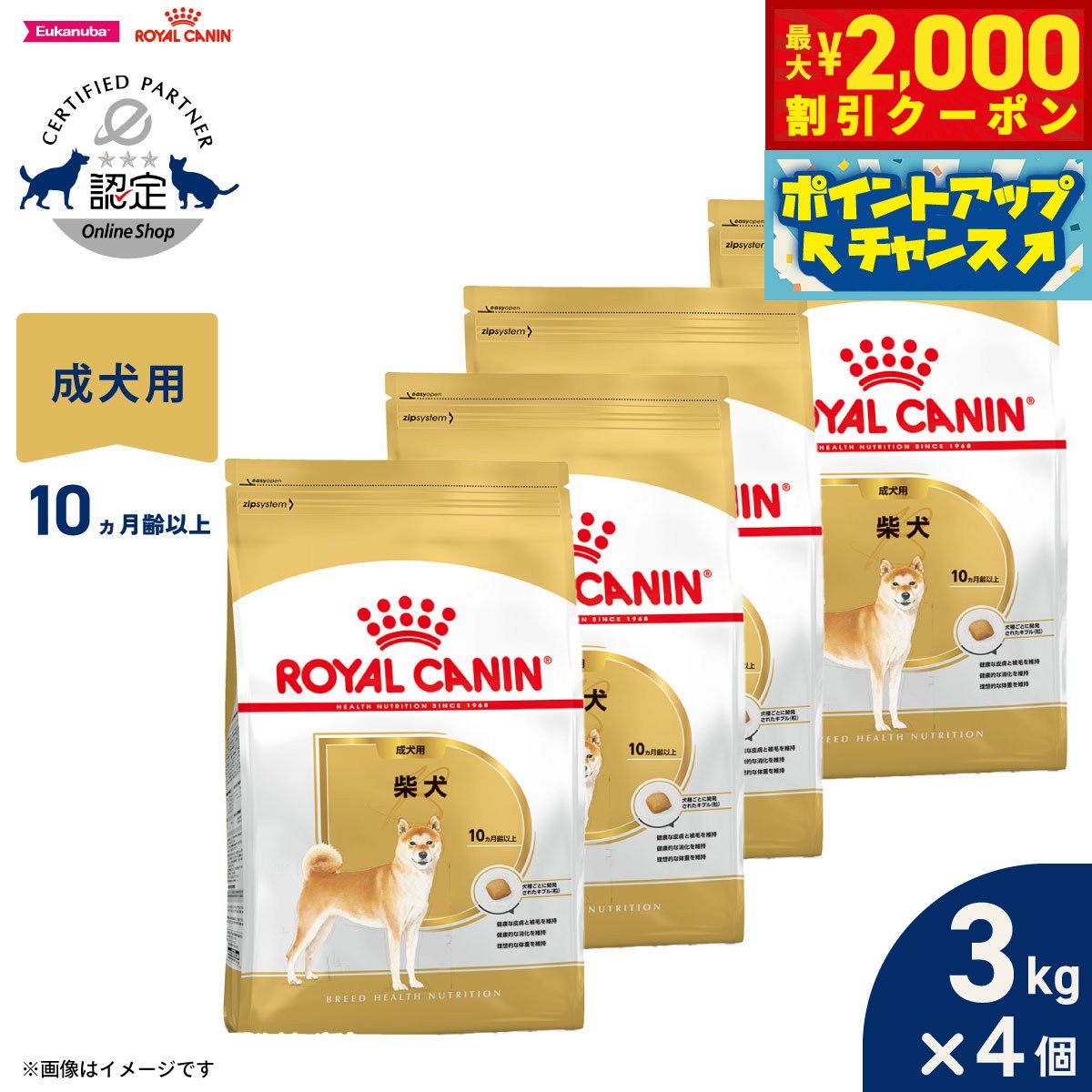 楽天市場】ロイヤルカナン 柴犬 3kgの通販