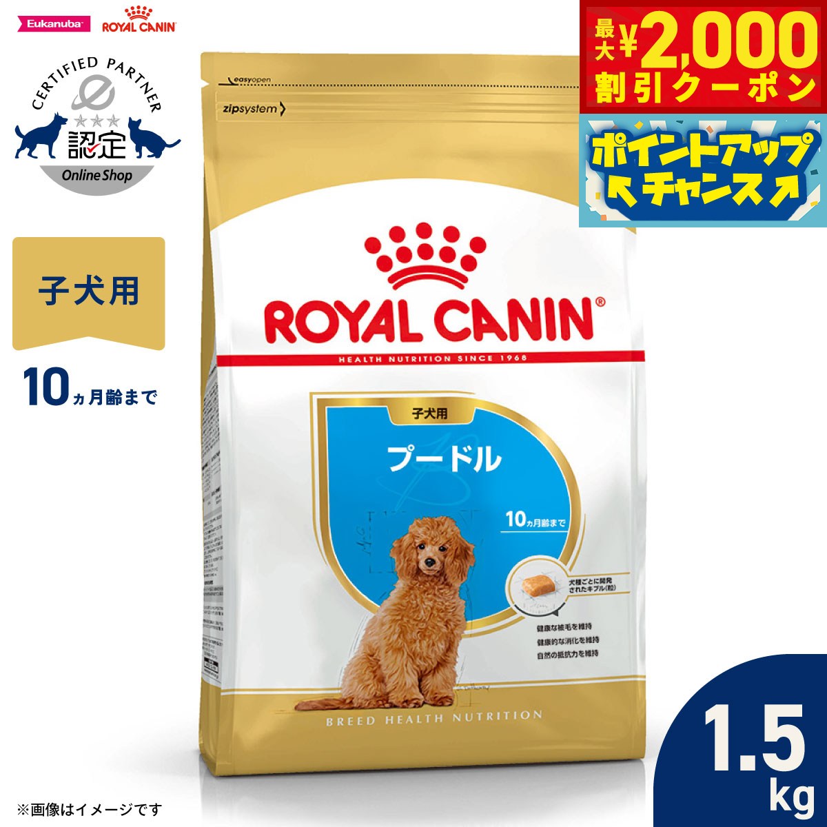 楽天市場】トイプードル子犬用ドックフードの通販