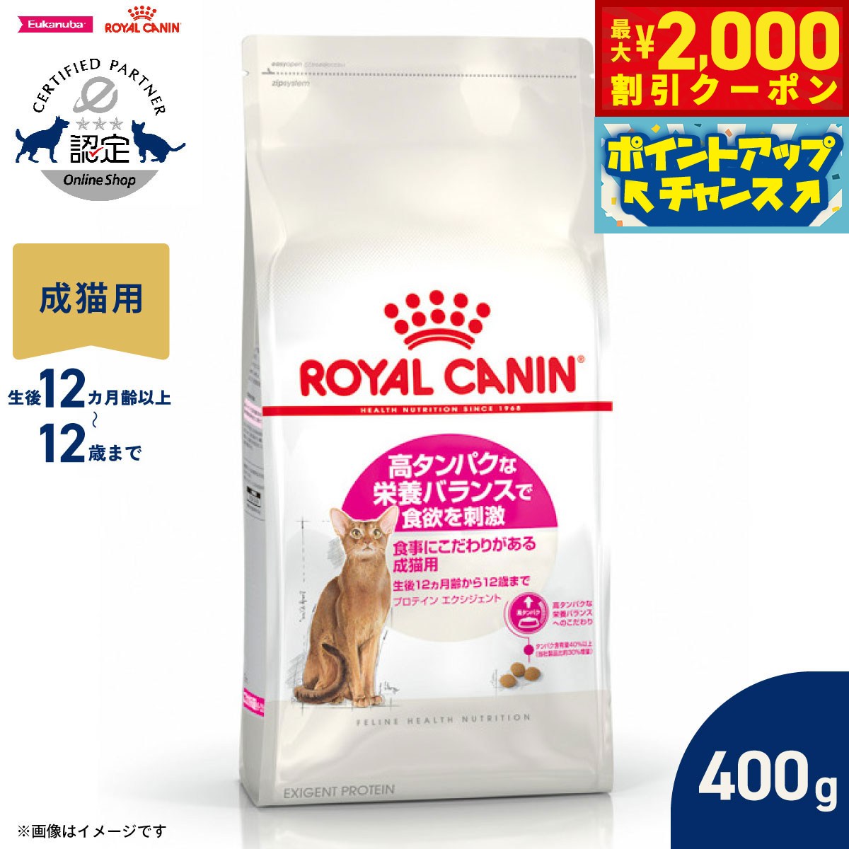 楽天市場】ロイヤルカナン 猫 高タンパクな栄養バランスの通販
