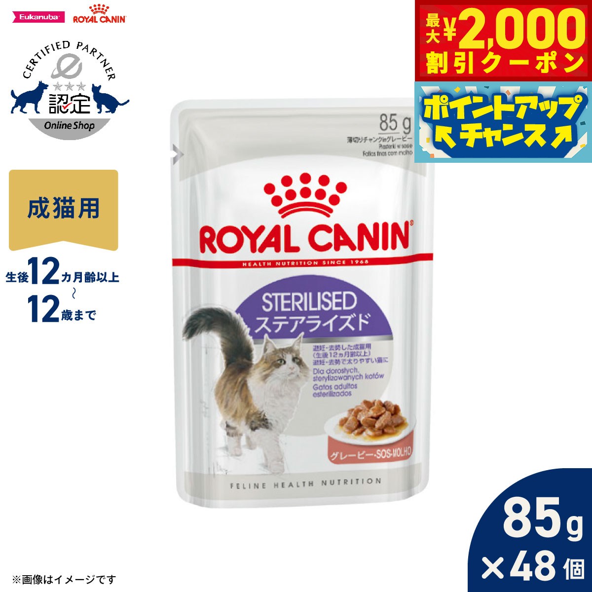 ロイヤルカナン猫キャットフードフィ...