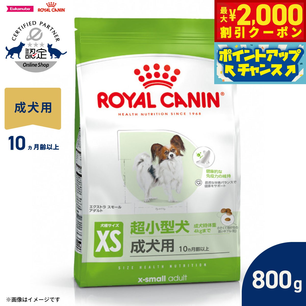 楽天市場】ロイヤルカナン shn エクストラスモール アダルト 800gの通販