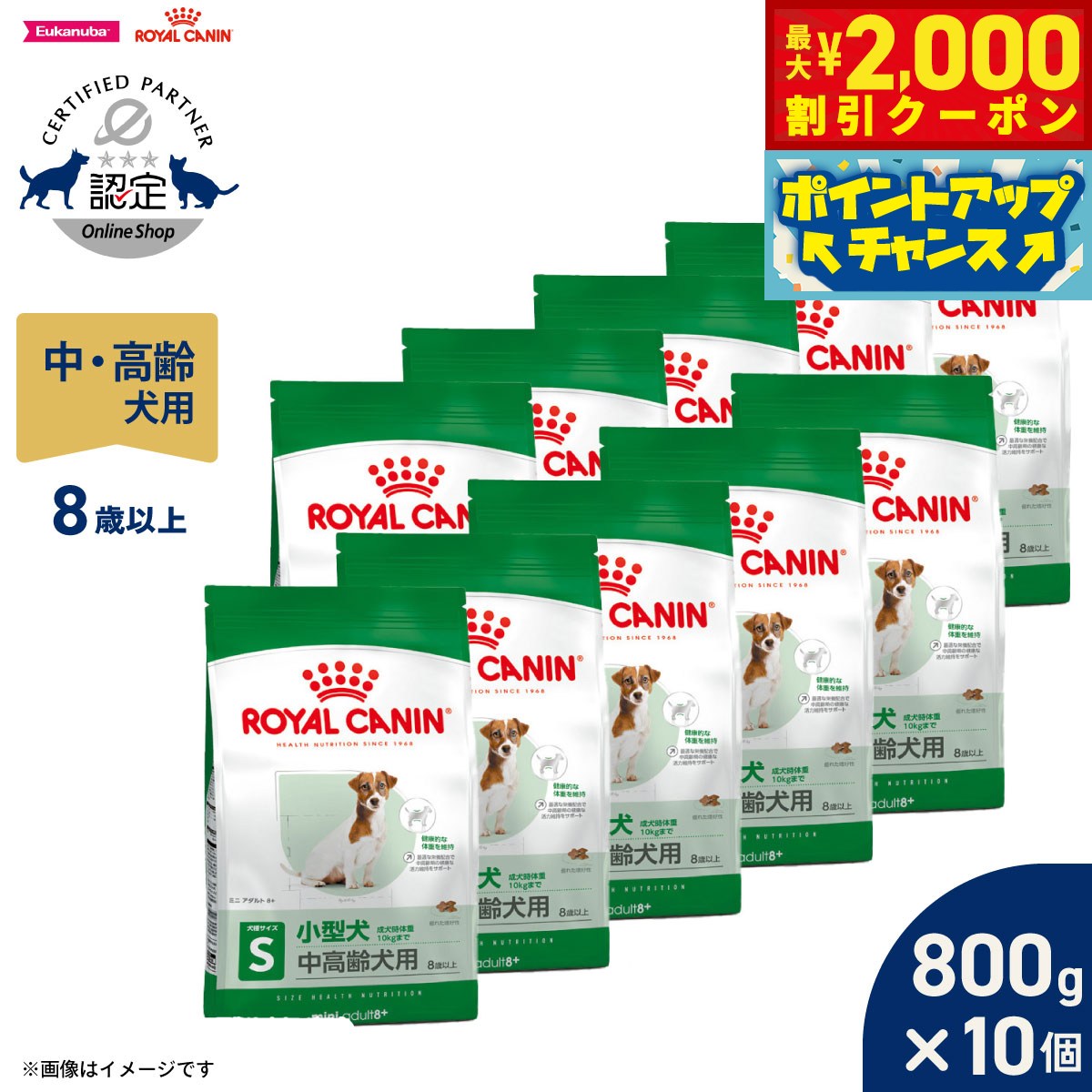 乐天商城 - 【最大2000円OFFクーポン！＆店内ポイント最大52倍！本日限定！】ロイヤルカナン 犬 ドッグフード サイズヘルスニュートリション ミニ アダルト 8＋ 800g×10個 正規品 小型犬専用フード 中高齢犬用