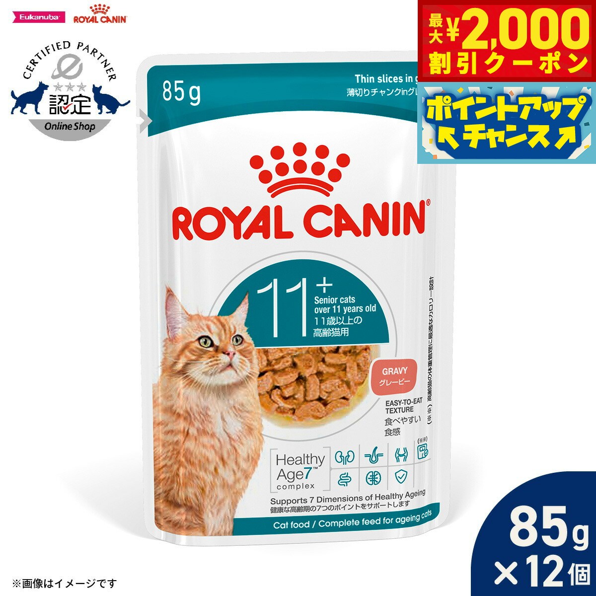 rycn050095-s1.jpg