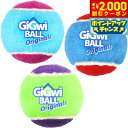 【2000円OFFクーポン!&店内ポイント最大53倍!本日限定!】GiGwi ギグウィテニスボール 3P