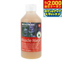 【2000円OFFクーポン!&店内ポイント最大53倍!本日限定!】ヒルトンハーブ フィトソルブ 200ml