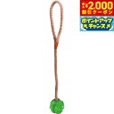 【2000円OFFクーポン!&店内ポイント最大53倍!本日限定!】Go Fetch! K-9 ボール S グリーン