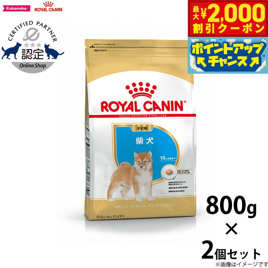 2000OFFݥ󡪡ŹݥȺ53ܡꡪۥ륫ʥ  ɥåա Ƹ Ҹ 800g2  ...
