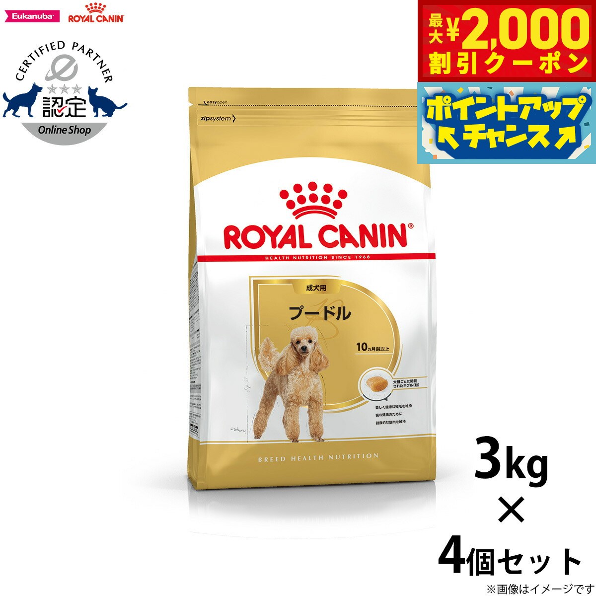 2000OFFݥ󡪡ŹݥȺ53ܡꡪۥ륫ʥ  ɥåա סɥ  3kg4  ...