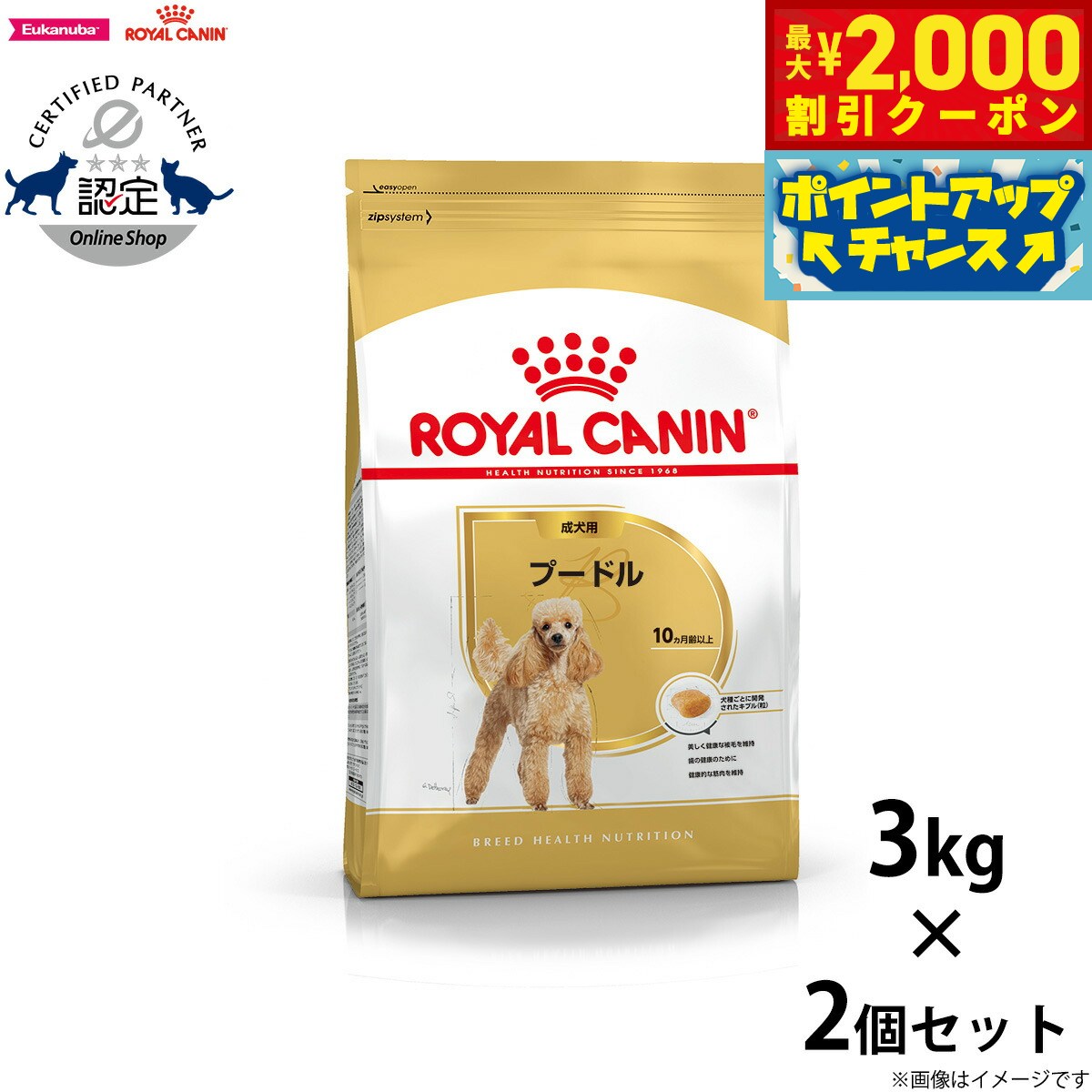 2000OFFݥ󡪡ŹݥȺ53ܡꡪۥ륫ʥ  ɥåա סɥ  3kg2  ...