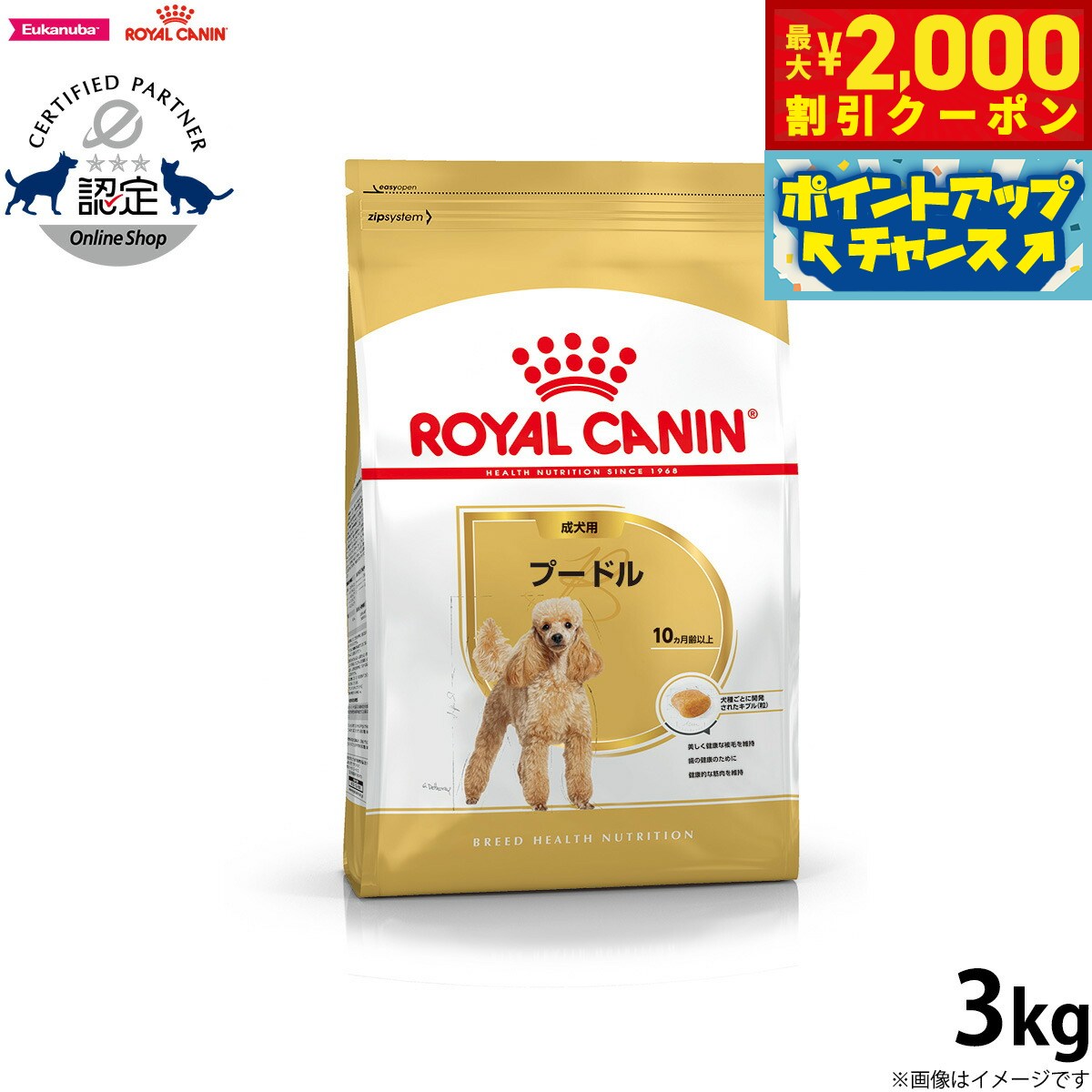 2000OFFݥ󡪡ŹݥȺ53ܡꡪۥ륫ʥ  ɥåա סɥ  3kg  ...