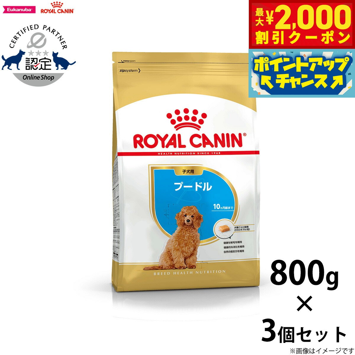 2000OFFݥ󡪡ŹݥȺ53ܡꡪۥ륫ʥ  ɥåա סɥ Ҹ 800g3 ...