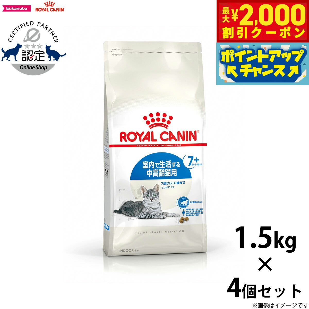 2000OFFݥ󡪡ŹݥȺ53ܡꡪۥ륫ʥ ǭ åȥա ɥ 7 1.5kg4 ...