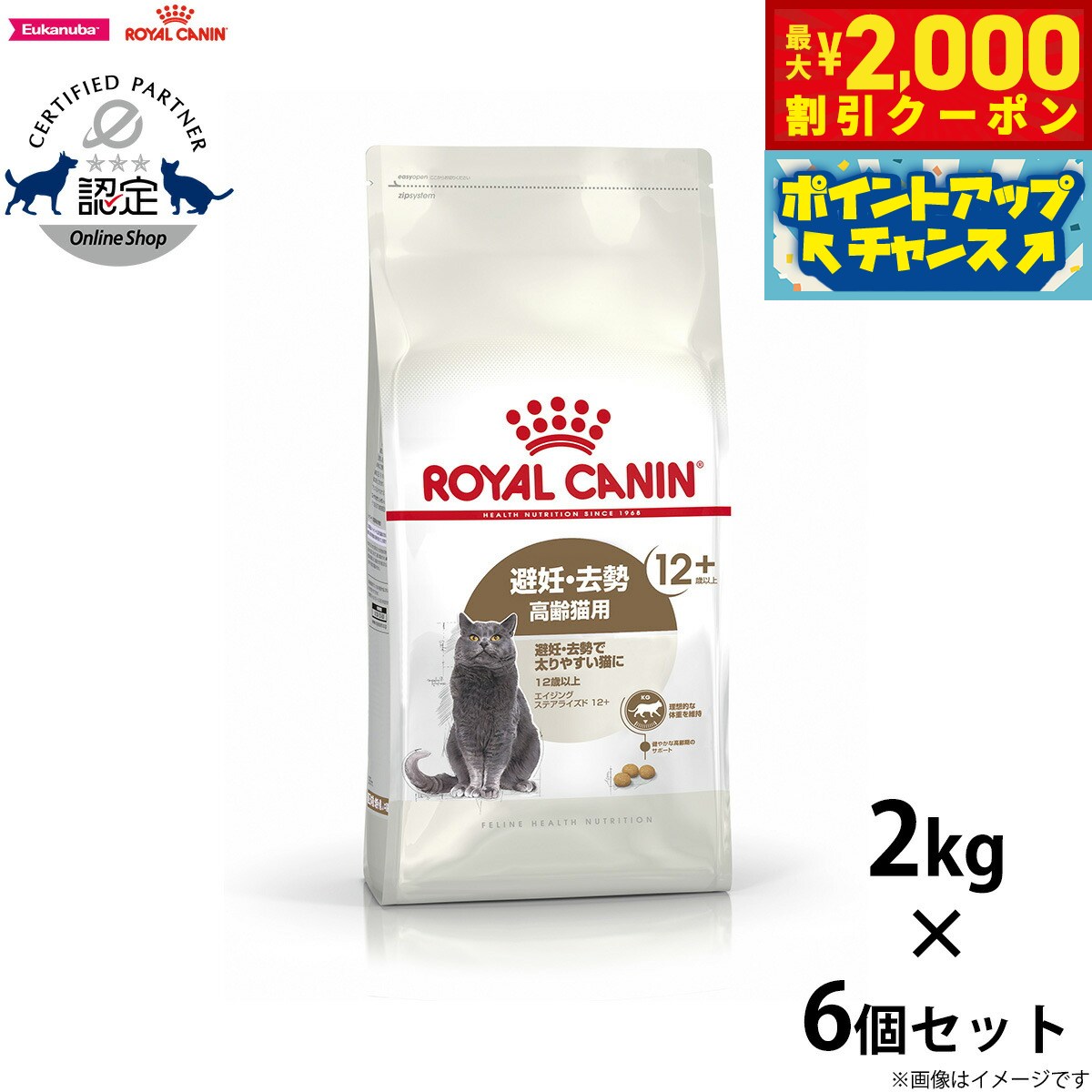 2000OFFݥ󡪡ŹݥȺ53ܡꡪۥ륫ʥ ǭ åȥա ƥ饤12 ǭ 2kg...