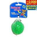 【2000円OFFクーポン!&店内ポイント最大53倍!本日限定!】ウィルインターナショナル デンタルフラッシングボール グリーン