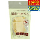 【400円OFFクーポン!&店内ポイント最大42倍!本日限定!】ファッド FAD 国産牛皮ガム チップス 10枚(約80g) 犬 おやつ ガム 無添加 デンタル