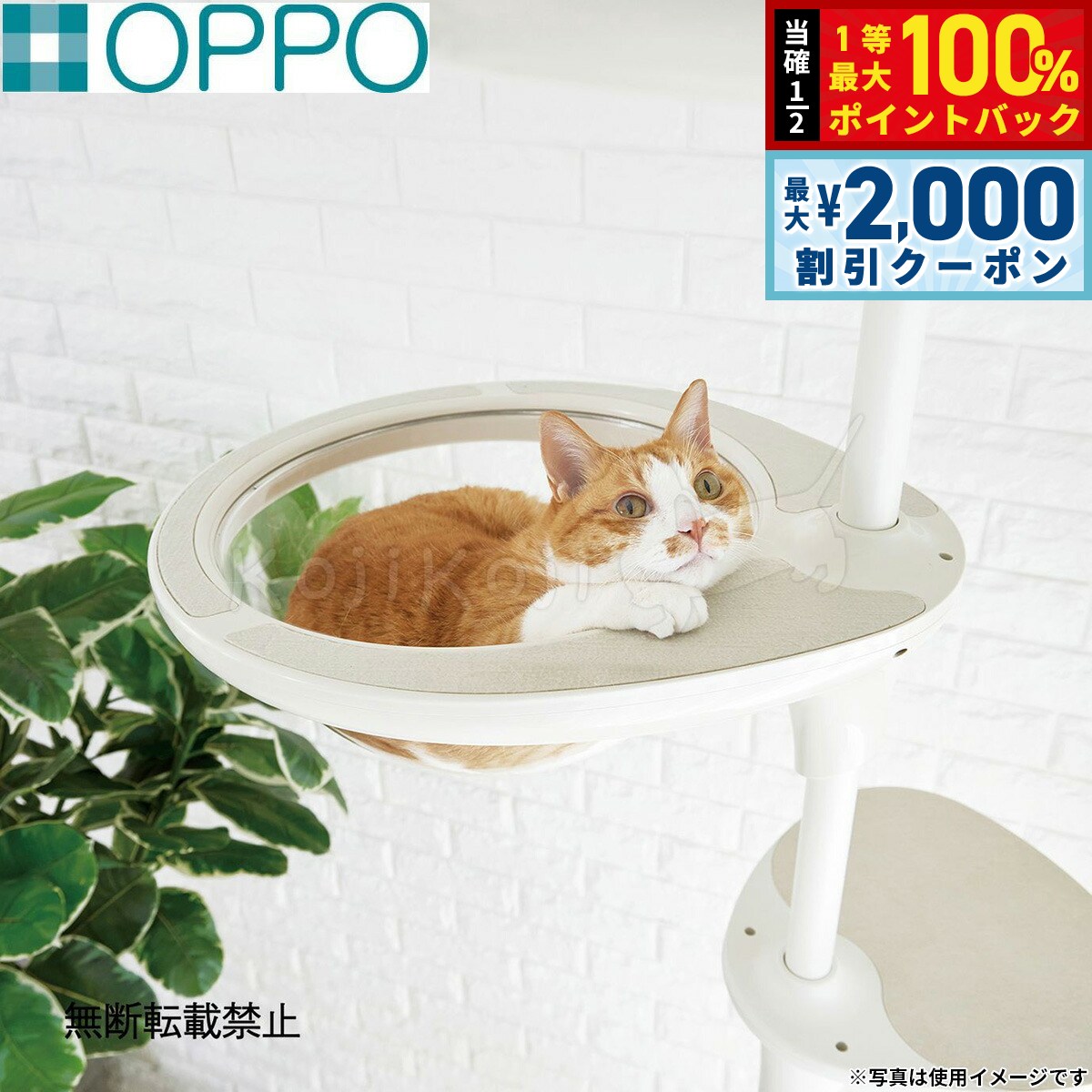楽天市場】猫 オセロの通販