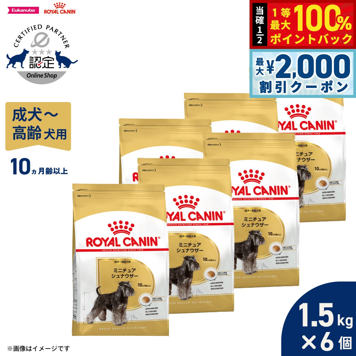 【7/5限定！2000円OFFクーポン＆抽選で1万ポイントバック】ロイヤルカナン 犬 ドッグフード ブリードヘルスニュートリションミニチュアシュナウザー専用フード 成犬〜高齢犬用 1.5kg×6個 正規品