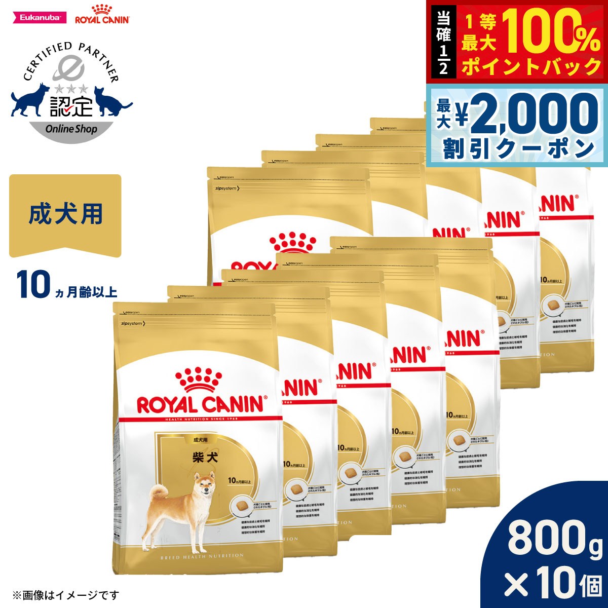 【7/5限定！2000円OFFクーポン＆抽選で1万ポイントバック】ロイヤルカナン 犬 ドッグフード ブリードヘルスニュートリション 柴犬専用フード 成犬用 800g×10個 正規品