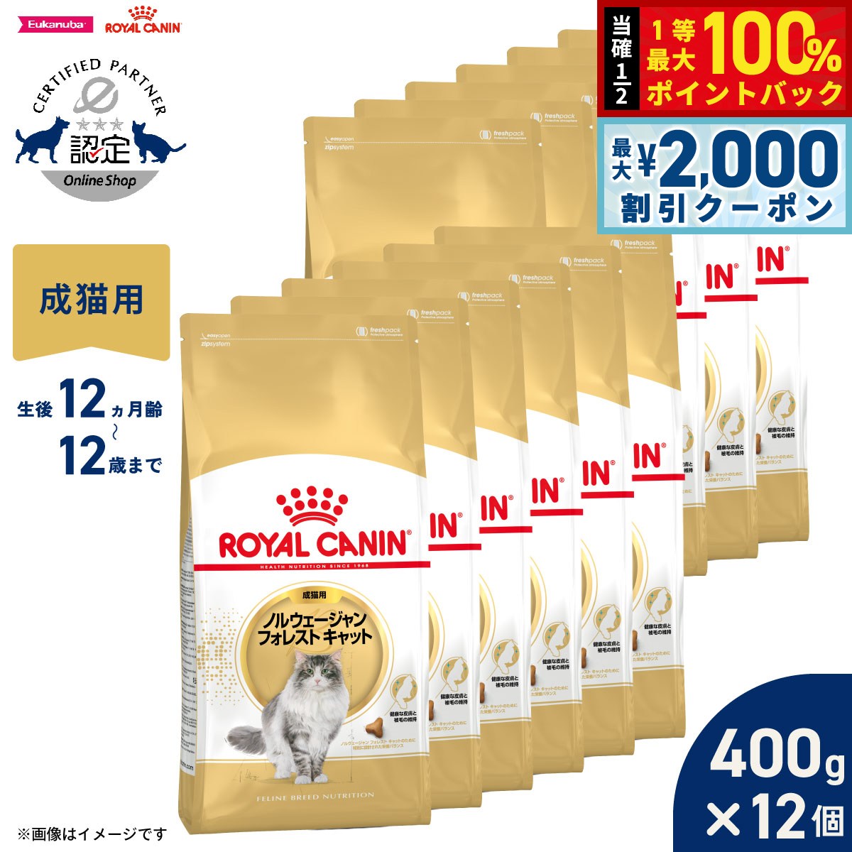 【7/5限定！2000円OFFクーポン＆抽選で1万ポイントバック】ロイヤルカナン 猫 キャットフード フィーラインブリードニュートリション ノルウェージャン フォレストキャット専用フード 成猫用 400g×12袋 正規品