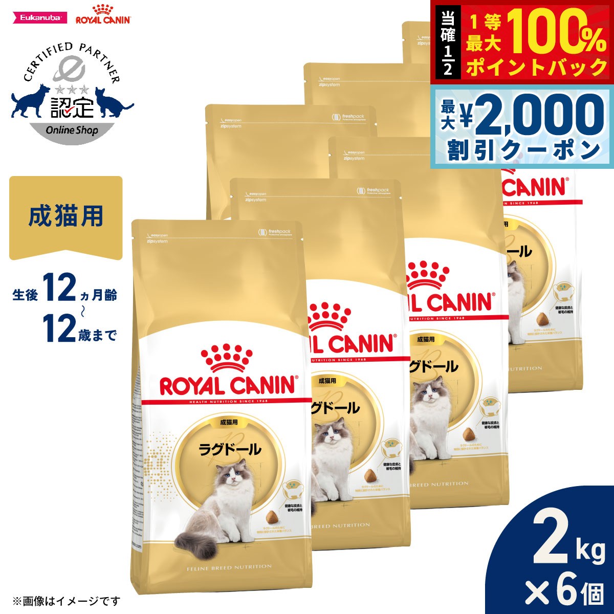 【7/5限定！2000円OFFクーポン＆抽選で1万ポイントバック】ロイヤルカナン 猫 キャットフード フィーラインブリードニュートリション ラグドール専用フード 成猫用 2kg×6個 正規品