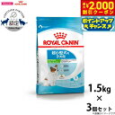 【2000円OFFクーポン!&店内ポイント最大58倍!マラソン限定!】ロイヤルカナン 犬 ドッグフード エクストラ スモール パピー 1.5kg×3個 正規品 犬用品/ペットグッズ/ペット用品