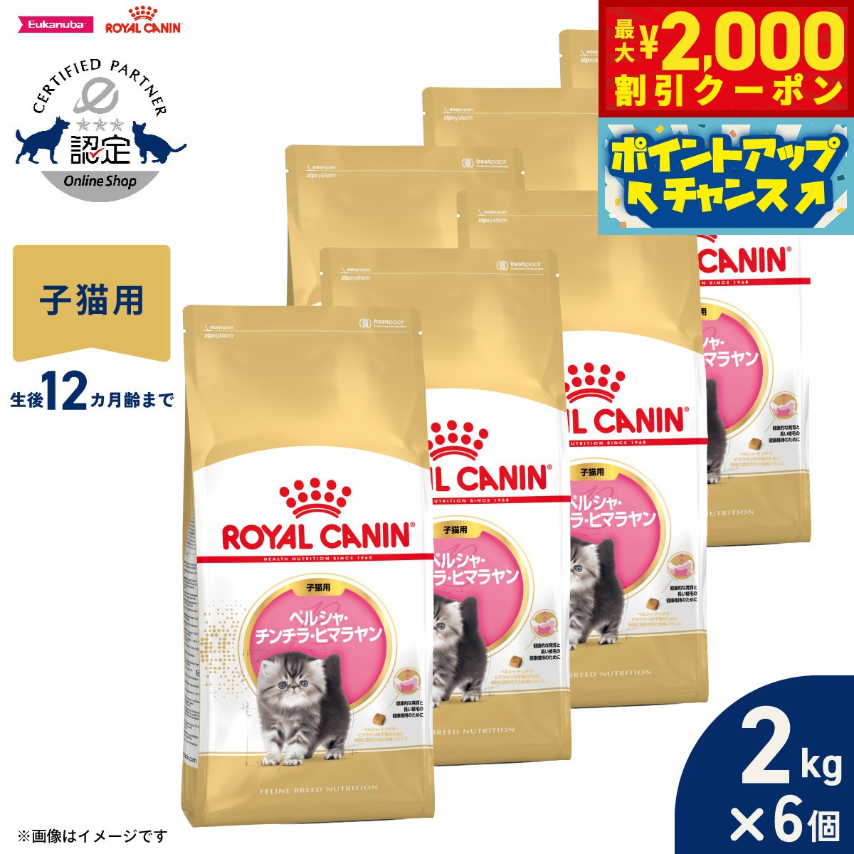 【最大2000円OFFクーポン！＆店内ポイント最大53倍！本日限定！】ロイヤルカナン 猫 キャットフード フィーラインブリードニュートリション ペルシャ チンチラ ヒマラヤン専用フード 子猫用 2kg×6個 正規品