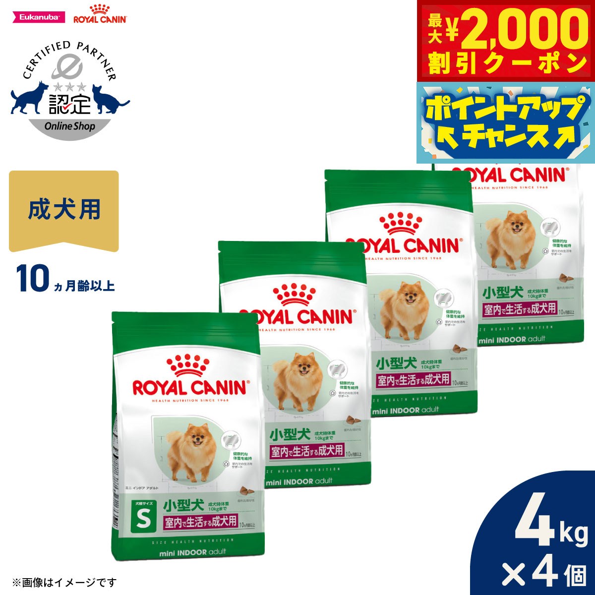 楽天市場】ロイヤルカナン ミニ インドア アダルト 成犬用 4kg