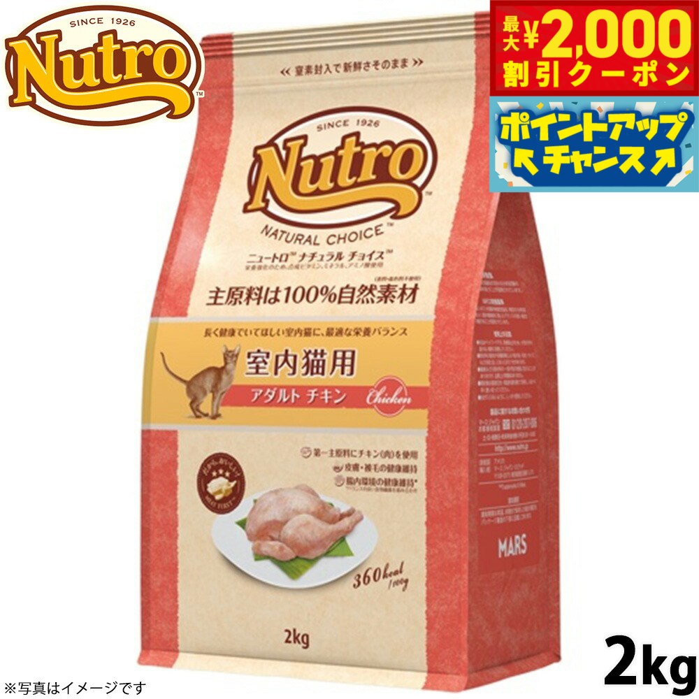 ncc004.jpg