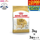 【2000円OFFクーポン!&店内ポイント最大55倍!本日限定!】ロイヤルカナン ドッグフード ブリード ヘルス ニュートリション ラブラドールレトリバー 成犬~高齢犬用 (生後15ヵ月齢以上) 3kg×3個