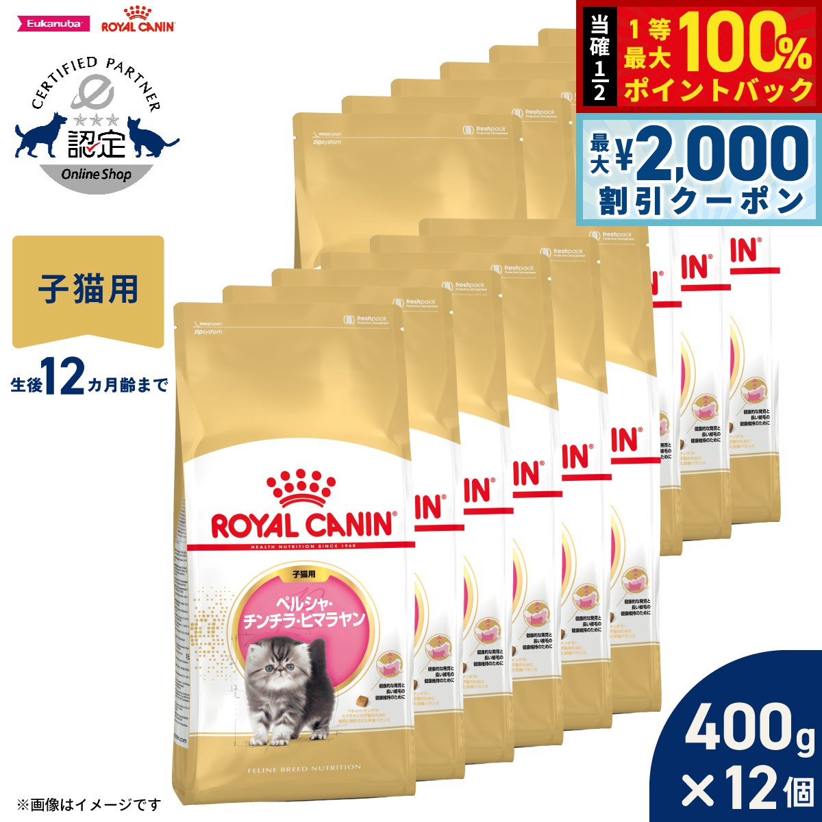 ロイヤルカナン 猫 キャットフード フィーラインブリードニュートリション ペルシャ チンチラ ヒマラヤン専用フード 子猫用 400g×12袋 正規品