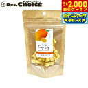 ドクターズチョイス 犬用おやつ 納豆菌フリーズドライ マンゴー 8g国産