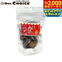 ドクターズチョイス 犬用おやつ 納豆菌うなぎ プレーン 40g国産