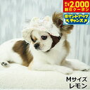 【2000円OFFクーポン!&店内ポイント最大55倍!本日限定!】犬の帽子 ガーデンオブエデン candyツィードハット M レモン【送料無料】