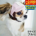 【2000円OFFクーポン!&店内ポイント最大55倍!本日限定!】犬の帽子 ガーデンオブエデン メッシュCAP Sサイズ ブルー
