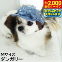 【2000円OFFクーポン!&店内ポイント最大55倍!本日限定!】犬の帽子 ガーデンオブエデン ドットリボンキャスケット Mサイズ ダンガリー