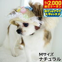 【2000円OFFクーポン!&店内ポイント最大55倍!本日限定!】犬の帽子 ガーデンオブエデン Candy Pop HAT Mサイズ ナチュラル