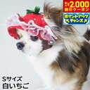 【2000円OFFクーポン!&店内ポイント最大55倍!本日限定!】犬の帽子 ガーデンオブエデン いちごフリルハット Sサイズ 白いちご