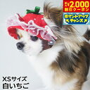 【2000円OFFクーポン!&店内ポイント最大55倍!本日限定!】犬の帽子 ガーデンオブエデン いちごフリルハット XSサイズ 白いちご