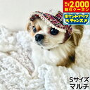 【2000円OFFクーポン!&店内ポイント最大55倍!本日限定!】犬の帽子 ガーデンオブエデン パールビジューツィードCAP S マルチ【送料無料】