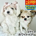 【2000円OFFクーポン!&店内ポイント最大55倍!本日限定!】犬の帽子 ガーデンオブエデン テディーベアCAP S ホワイトベア-【送料無料】