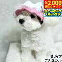 【2000円OFFクーポン!&店内ポイント最大55倍!本日限定!】犬の帽子 ガーデンオブエデン ガーリーリボンハット S ナチュラル【送料無料】