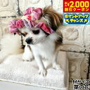 【2000円OFFクーポン!&店内ポイント最大55倍!本日限定!】犬の帽子 ガーデンオブエデン ヨーヨーリボンハット M 菜の花【送料無料】