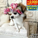 【2000円OFFクーポン!&店内ポイント最大55倍!本日限定!】犬の帽子 ガーデンオブエデン ヨーヨーリボンハット S アネモネ【送料無料】
