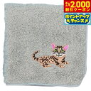 【2000円OFFクーポン!&店内ポイント最大55倍!本日限定!】阪急ハロードッグ オーガニックコットン ハンカチタオル ベンガル グレー 猫柄