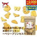 【2000円OFFクーポン!&店内ポイント最大55倍!本日限定!】オーシーファーム 犬用おやつ 平飼い卵と米粉のクッキー ベリープリンセス 30g 国産 無添加