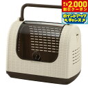 【2000円OFFクーポン!&店内ポイント最大56倍!本日限定!】リッチェル Richell ラタンキャリー アイボリー 持ち運び おでかけ ドライブ キャリー 犬 猫