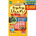 【店内ポイント最大48倍!本日限定!エントリーで最大5000P&】マルカン かめかめぴゅーれ えび 5g×6本入