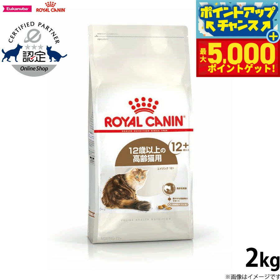 CANIN 猫用エイジングケア 2kg 楽天市場】ロイヤルカナン エイジングケア 猫 2kgの通販