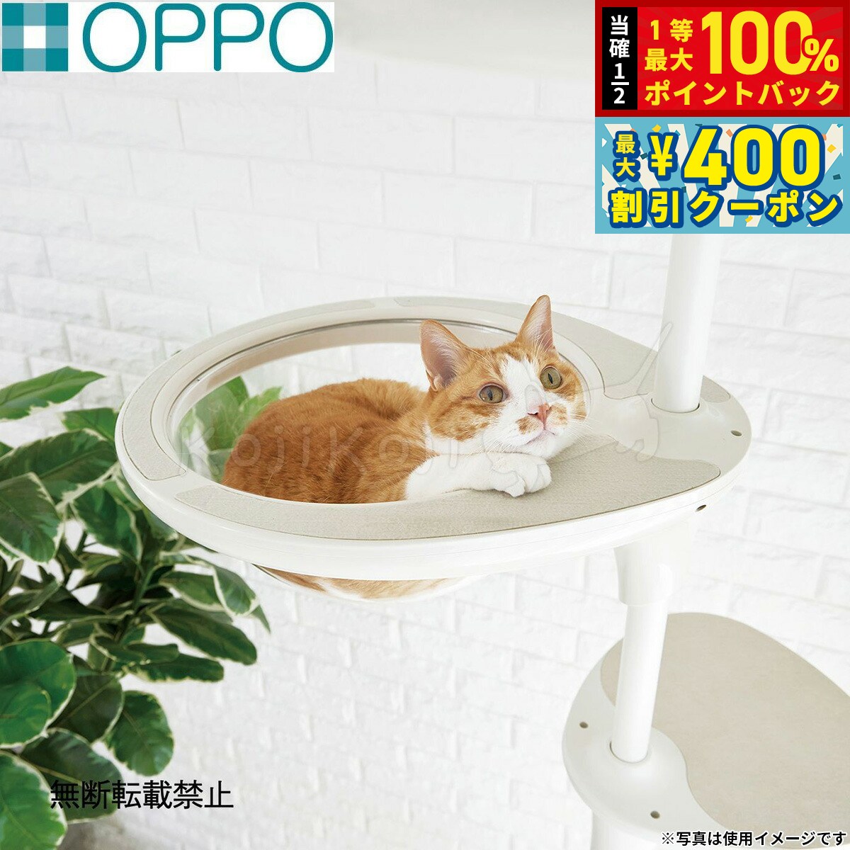 楽天市場】キャット タワー 透明 ボウルの通販
